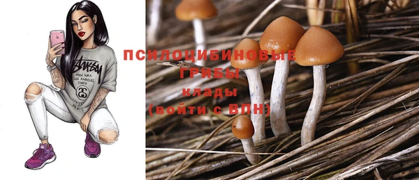 молекула духа Зерноград