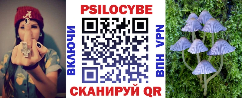 Купить  Железноводск  Галлюциногенные грибы Magic Shrooms 